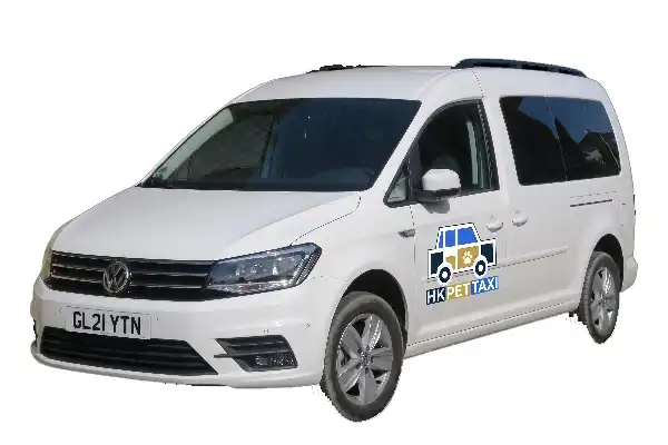 GL21 YTN pet taxi exterior